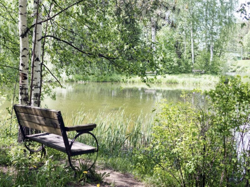 Санаторий "Нижне-Ивкино"